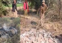 कासगंज में ऑनर किलिंग! प्रेमी के साथ भागी लड़की को पकड़कर घरवालों ने हत्या कर जलाई लाश, युवक ने किसी तरह खुद की बचाई जान