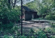 यूथ इंडिया विशेष रिपोर्ट: निनउआ का वन चेतना केंद्र: 90 के दशक की रौनक आज वीरानी में बदली