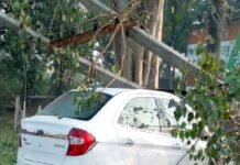 तेज रफ्तार कार बिजली के खंभे से टकराई, ट्रांसफॉर्मर क्षतिग्रस्त, शहर का बड़ा हिस्सा घंटों रहा अंधेरे में