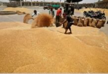 एक मार्च से शुरू होगी गेहूं खरीद, समर्थन मूल्य 2585 रुपये प्रति कुंतल तय