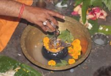 15 फरवरी को महाशिवरात्रि: आस्था, तप और शिवत्व का महापर्व