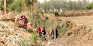 वीबीजी रामजी लागू होने से पहले मनरेगा के अधूरे कार्य बने चुनौती, मजदूरी और सामग्री भुगतान अटका