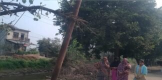 करंट की चपेट में आया गोवंश, बिजली विभाग पर लापरवाही का आरोप