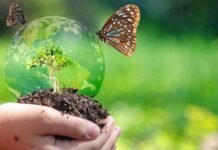 जैव विविधता के साथ टिकाऊ विकास