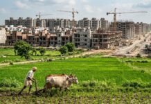 घटती कृषि भूमि और बढ़ती कालोनियां