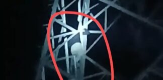 हाईटेंशन टावर पर चढ़ा युवक, पत्नी को बुलाने की जिद पर अड़ा – घंटों चला ड्रामा, प्रशासन में हड़कंप