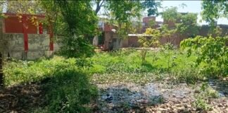 बदहाल तालाब बना बीमारी का घर: गंदगी से मच्छरों का बढ़ता प्रकोप