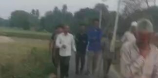 यमुना घाट पर अंतिम संस्कार के दौरान मधुमक्खियों का हमला, 10 से अधिक लोग घायल