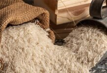 खाड़ी संकट से बासमती निर्यात पर बड़ा असर, ईरान में फंसे 1000 करोड़ रुपये; किसानों और निर्यातकों पर दोहरी मार