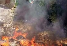 फतेहगढ़ में प्लास्टिक प्रतिबंध की उड़ रहीं धज्जियां