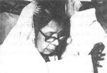 महीयशी महादेवी वर्मा : करुणा, संवेदना और नारी चेतना की अमर आवाज़