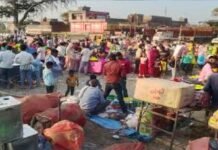 होली की रौनक, बाजारों में उमड़ी भीड़; आलू की मंदी से किसानों की खुशियां फीकी