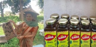 योगी सरकार की पहल ने बदली राजेन्द्री की किस्मत, मधुमक्खी पालन कर बनीं ‘लखपति दीदी’