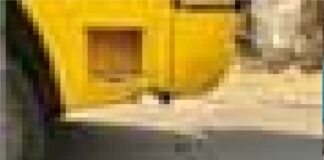 स्कूली बस के सामने फन फैलाकर खड़ा रहा सांप, 25 मिनट तक थमी रही सांसें, चालक की सूझबूझ से टला बड़ा हादसा