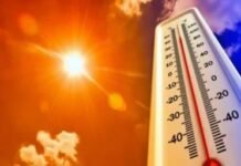 भीषण गर्मी का कहर: पारा 44°C के पार, कई जिलों में लू का अलर्ट, वन्यजीवों के लिए खास इंतजाम