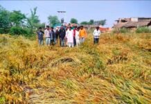 यूपी में मौसम का कहर: 30+ जिलों में आंधी-बारिश और ओलावृष्टि से जनजीवन अस्त-व्यस्त
