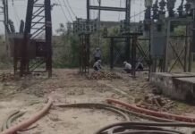 भीषण गर्मी में लाइनमैन से घास छिलवाने का आरोप, वीडियो वायरल, बिजली विभाग पर उठे सवाल