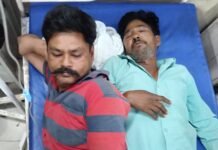 फतेहगढ़ डाक बंगले में मधुमक्खियों का हमला, तीन कर्मचारी गंभीर रूप से घायल