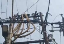 नवाबगंज में फीडर ब्रेकडाउन से 22 गांवों की बिजली ठप, सुबह से लोग परेशान
