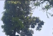 अवैध खनन व ओवरलोडिंग पर प्रशासन की कार्रवाई, 2 ट्रक सीज