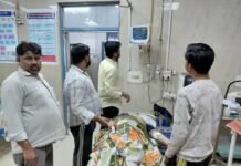 तेज रफ्तार का कहर: पेड़ से टकराई कार, शादी में जा रही महिला समेत तीन घायल, हालत गंभीर