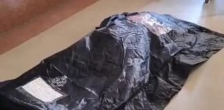 सड़क हादसा: तेज रफ्तार बाइक की टक्कर से महिला की मौत