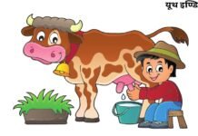 बोनस के वादे, भरोसे पर सवाल: क्या दुग्ध किसानों के साथ फिर हो रहा है छल?