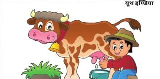 बोनस के वादे, भरोसे पर सवाल: क्या दुग्ध किसानों के साथ फिर हो रहा है छल?