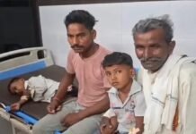 शादी की दावत बनी हादसा, 100 से अधिक लोग फूड प्वाइजनिंग के शिकार