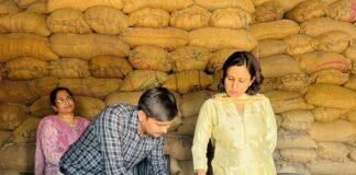सातनपुर मंडी में डीएम डॉ. अंकुर लाठर का छापा गेहूं खरीद में गड़बड़ी “लापरवाही बर्दाश्त नहीं”