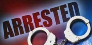 UP STF की बड़ी कार्रवाई, पाकिस्तानी हैंडलर से जुड़े गिरोह का भंडाफोड़