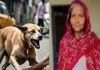 मेरठ में आवारा कुत्तों के हमले में 55 वर्षीय महिला की मौत