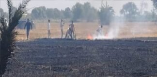 गेहूं कटे खेत में भीषण आग से मचा हड़कंप