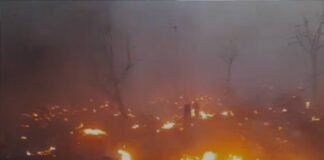 लखनऊ: विकासनगर में लगी भीषड़ आग, 1200 झोपड़ियां जलकर राख, इलाकों में फैला धुआं