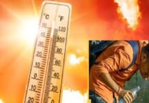 तेज धूप से बढ़ी गर्मी, तिलमिलाने लगे लोग — आने वाले समय में और गंभीर हो सकती है स्थिति