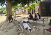 बिजली विभाग की लापरवाही से तड़प रहा गंगापार, सूखने लगी किसानों की फसलें