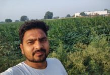तेज आंधी-पानी से मक्का की फसल चौपट