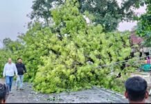 तूफान का कहर: कमालगंज में तबाही, सड़क-रेल ट्रैक ठप, तीन लोग मलबे में दबे