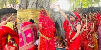 वट सावित्री व्रत पर उमड़ी आस्था: महिलाओं ने वट वृक्ष की पूजा कर मांगा अखंड सौभाग्य