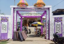 शनि देव जन्मोत्सव पर मंदिरों में भव्य सजावट, भक्तों ने उमंग के साथ किया पूजन