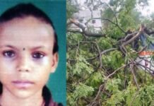 तेज आंधी-बारिश का कहर, पांच की मौत, टिनशेड संग हवा में उड़ा व्यक्ति