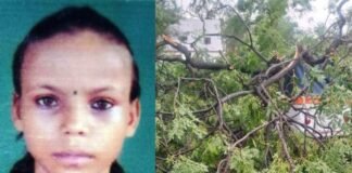 तेज आंधी-बारिश का कहर, पांच की मौत, टिनशेड संग हवा में उड़ा व्यक्ति