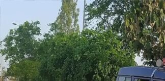 मरीज की मौत पर अस्पताल में हंगामा, पोस्टमार्टम में सेप्टीसीमिया से मौत की पुष्टि