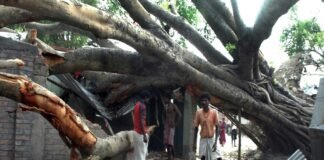 यूपी में आंधी-तूफान का कहर! 130 किमी की रफ्तार बनी मौत की आंधी, 117 लोगों की गई जान