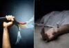 बरेली: खंभे में चढ़े लाइनमैन की करंट के चपेट में आने से मौत, परिजनों में मचा कोहराम