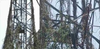 प्रतापगढ़ में हाईवोल्टेज ड्रामा, पारिवारिक विवाद में टावर पर चढ़ी महिला, पुलिस ने समझा-बुझाकर उतारा