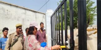 कान्हा गौशाला पहुंची डीएम, व्यवस्थाओं का लिया जायजा; टूटे पंखे बदलने के दिए निर्देश