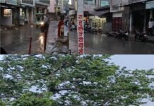 मौसम ने बदली करवट, तेज आंधी-बारिश ने मचाई तबाही