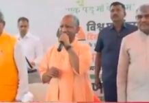 वृक्षारोपण के बाद सीएम योगी का संदेश: ‘यूपी में बढ़ रहा फॉरेस्ट कवर, मां के नाम जरूर लगाएं एक पेड़’