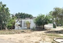 छोटी सी जमीन और अवैध प्लाटिंग के विवाद में सरकार तक को कर दिया बदनाम